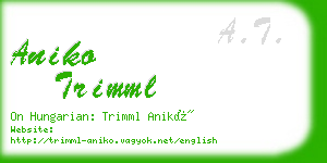 aniko trimml business card